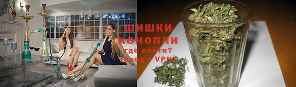 тгк Верея