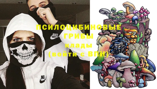 тгк Верея
