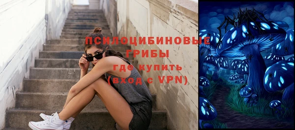 СК Володарск