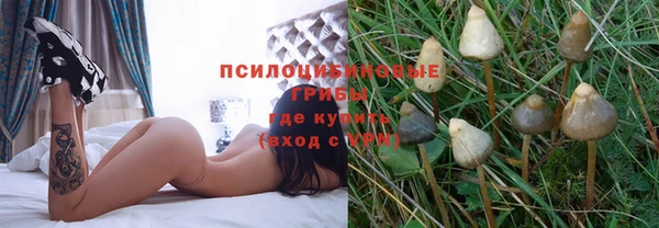 спайс Верхний Тагил
