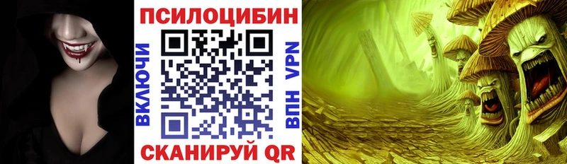 mega зеркало Норильск Галлюциногенные грибы мицелий